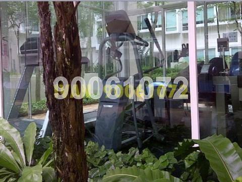 Le Reve (D14), Condominium #64621572